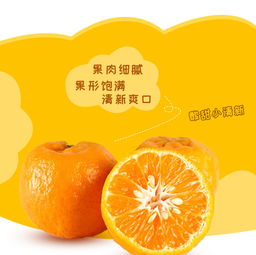 長(zhǎng)陽清江椪柑 源自農(nóng)夫鄉(xiāng)情的當(dāng)季精品